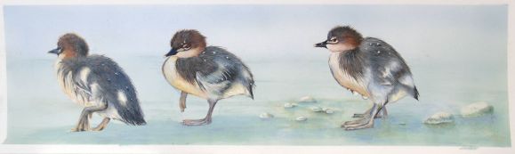 12748005_10205953117371859_5575434935965813795_o-1