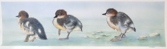 12748005_10205953117371859_5575434935965813795_o-1