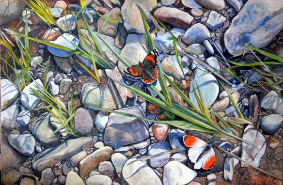 13987996_10207161994553033_6975839495432819637_o-1