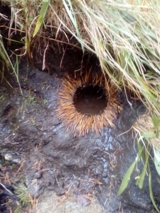 20170930_103952[3473]