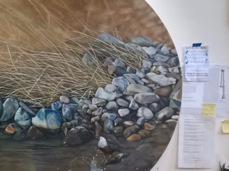 WP_20170228_17_19_10_Pro_LI