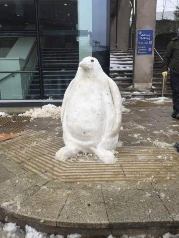 penguin sculpy